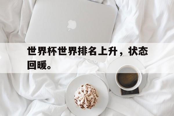 华体会APP下载-世界杯世界排名上升，状态回暖。