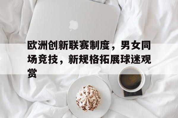 华体会APP下载-欧洲创新联赛制度，男女同场竞技，新规格拓展球迷观赏